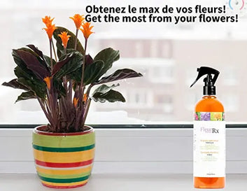 FleurRx - Empowering Your Petals to Flourish - Agrowcultural Organics
