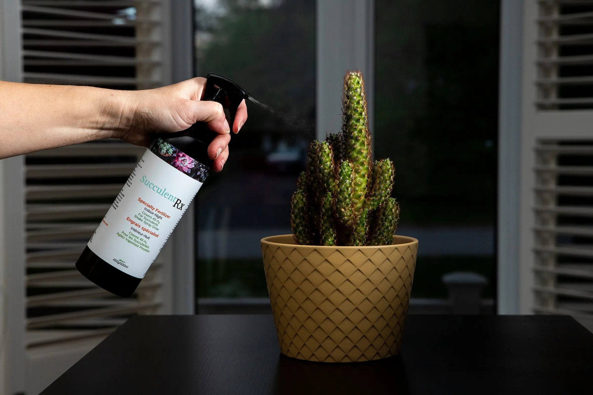 SucculentRx - Boost the Health and Beauty of Your Succulents - Agrowcultural Organics