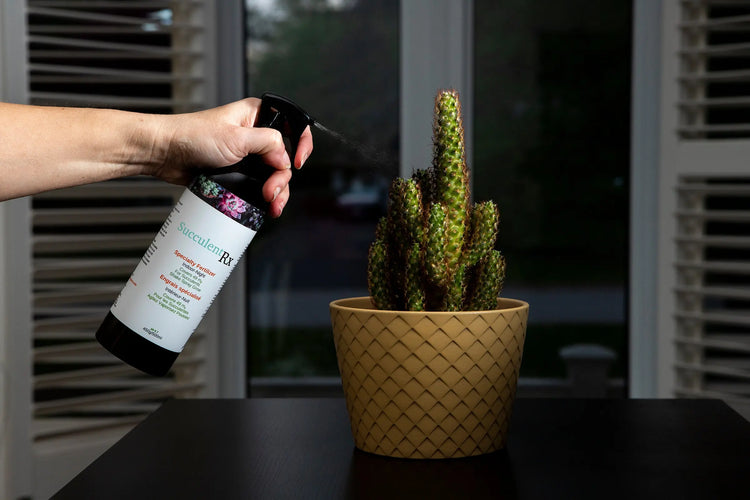 SucculentRx - Boost the Health and Beauty of Your Succulents - Agrowcultural Organics
