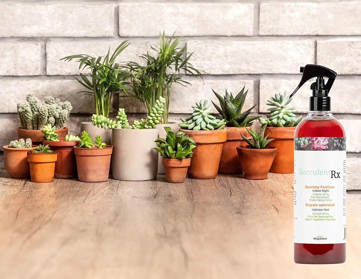 SucculentRx - Boost the Health and Beauty of Your Succulents - Agrowcultural Organics